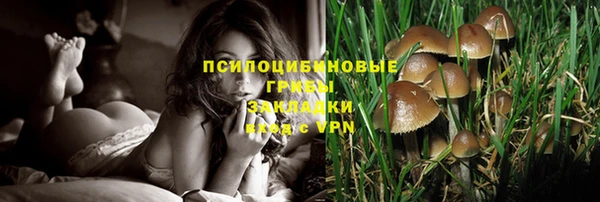 синтетический гашиш Баксан