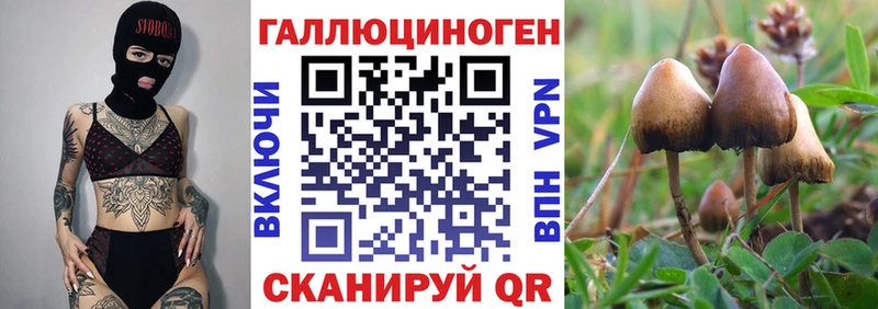 Галлюциногенные грибы Cubensis  гидра как зайти  Черепаново 