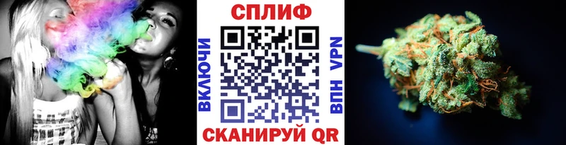 МАРИХУАНА семена  Черепаново 